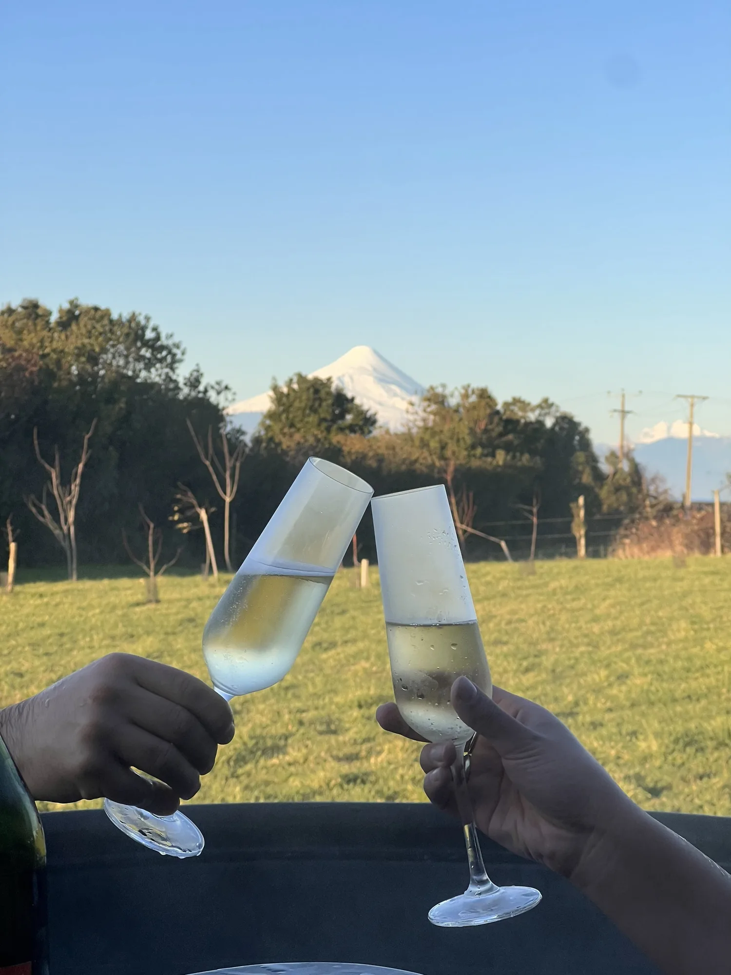 Brindis con vista al volcán en Ave Lodge, Frutillar