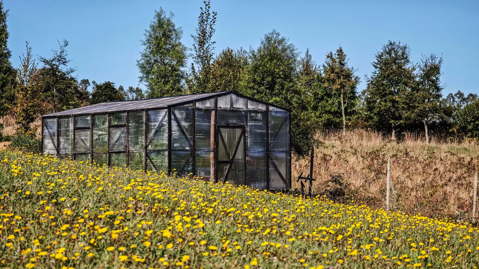 Serre d'Ave Lodge, Frutillar
