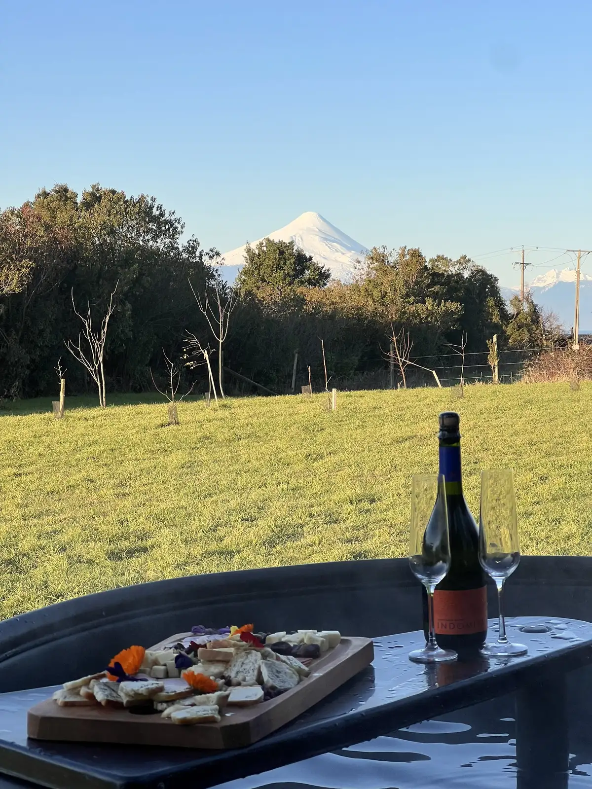 Tinaja con vista al volcán en Ave Lodge, Frutillar