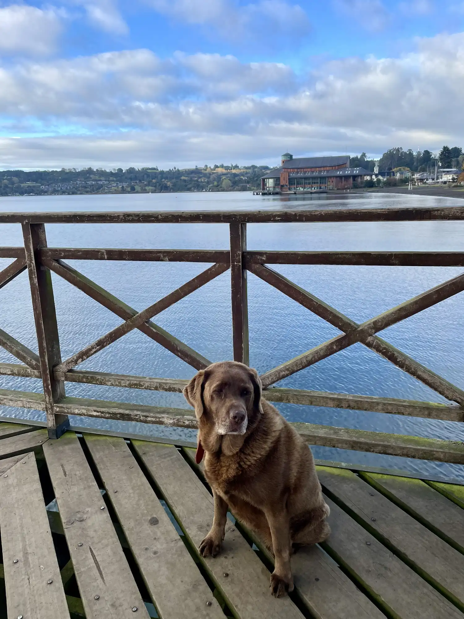 Zaha en el muelle de Frutillar, con vista al Teatro del Lago